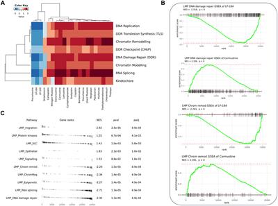 Artificial intelligence platform, RADR®, aids in the discovery of DNA damaging agent for the ultra-rare cancer Atypical Teratoid Rhabdoid Tumors